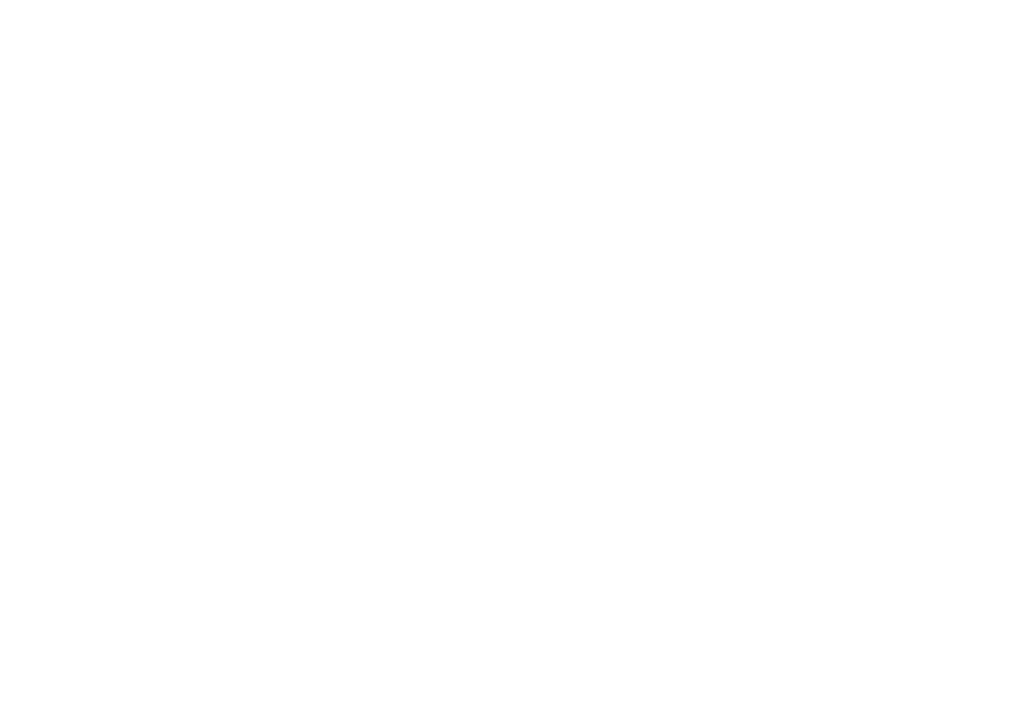 Mille Mille Race